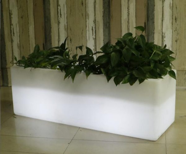 lighted plant pots